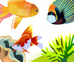 Free Vector Fish